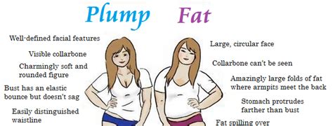 The Difference Between A Fat Woman And A Plump One According To One