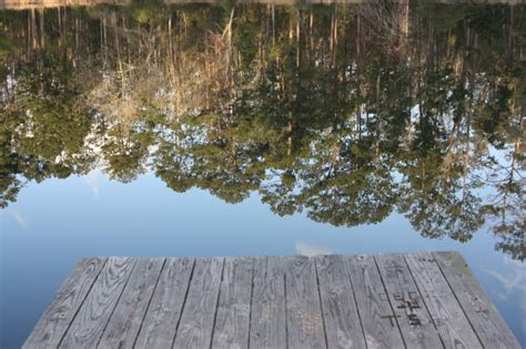 Check spelling or type a new query. New Waverly RV Parks | Reviews and Photos @ RVParking.com