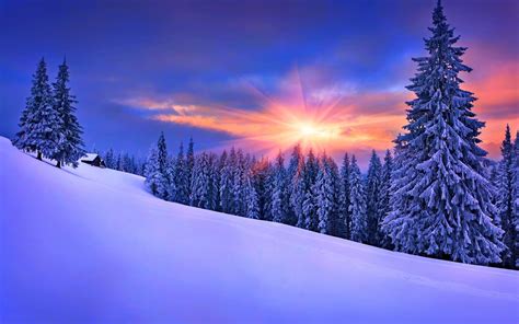 Hintergrundbilder 2560x1600 Px Wald Landschaft Kiefern Schnee
