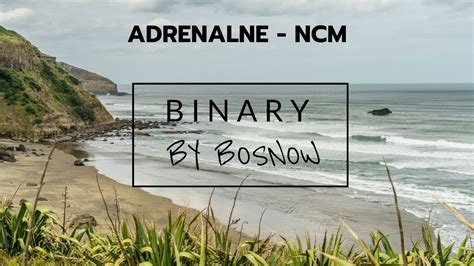 BINARY BOSNOW No Copyright Music Adrenaline NCM YouTube