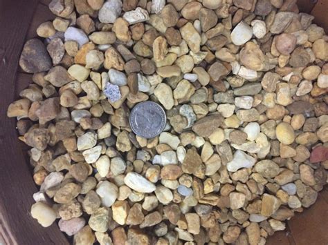 Check spelling or type a new query. brown pea gravel | Pea gravel, Food animals, Peas