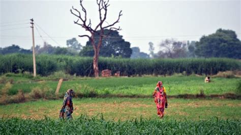انڈیا کی ناری شکتی‘ ٹوائلٹ اور گیس کنکشن جیسے منصوبے جنھوں نے مودی کو عورتوں کے ووٹ دلوائے