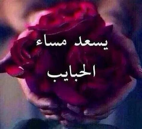مائة وستون أفضل حصان صور. مساء النور , اجمل صور للمساء 2021 - وداع وفراق