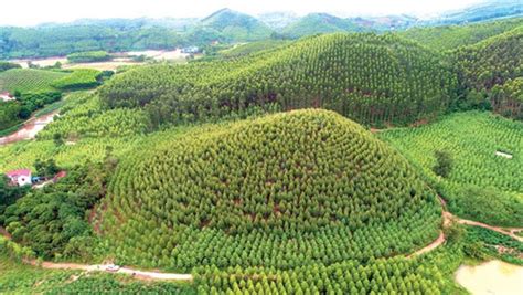 Bac ninh province is also praised for its traditional handicraft villages, such as dai bai bronze bacninh is 30km from hanoi, 110km from haiphong, 20km from bac giang, 45km from noi bai. Bac Giang favours forestry firms, ignores residents ...