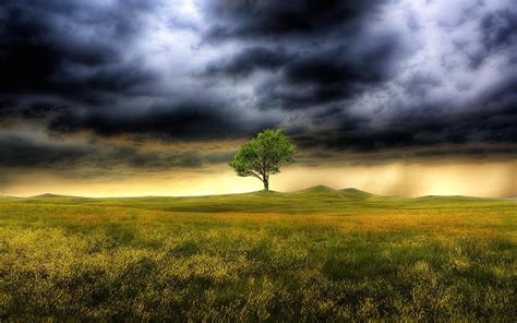 Storm Weather Rain Sky Clouds Nature Landscape Tree Wallpapers