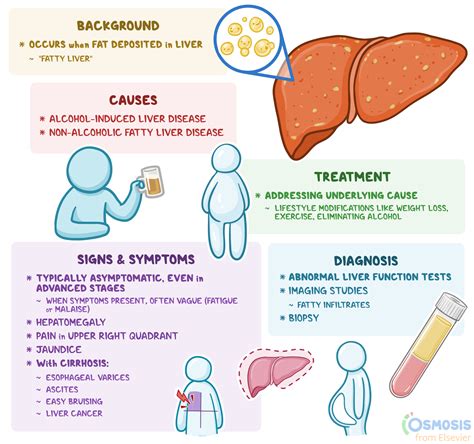 Liver Cirrhosis Nursing Care Plan Managementdocx Liver