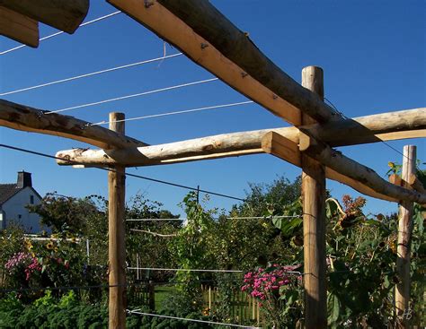 In designlinien mit klarer struktur sind schwarze metall rankgitter moderne. Rankhilfen: Kletterpflanzen und Rankhilfen aus Holz oder ...