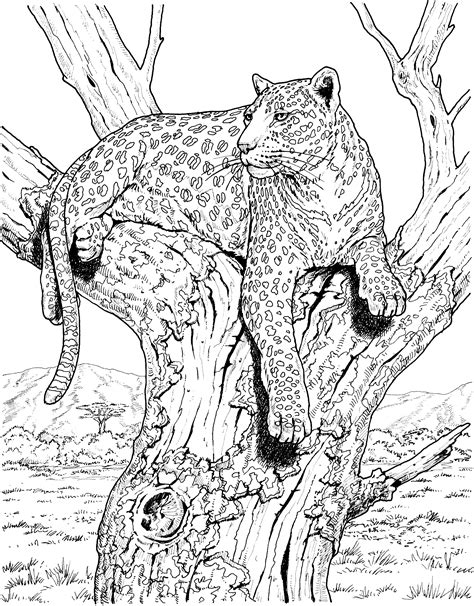 Wild Animals Coloring Pages Learny Kids