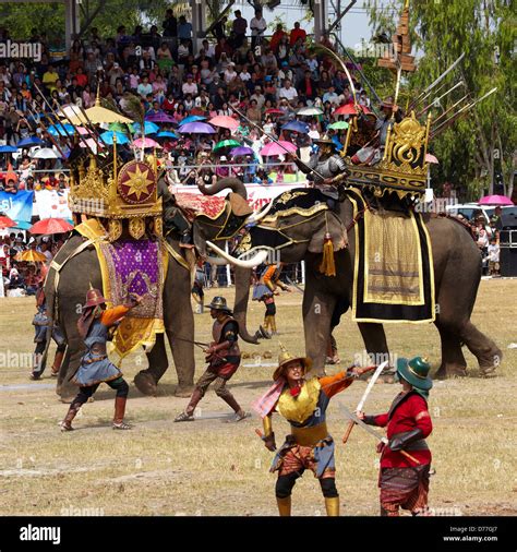 Asia Thailand Surin City Elephant Round Up Stock Photo Alamy