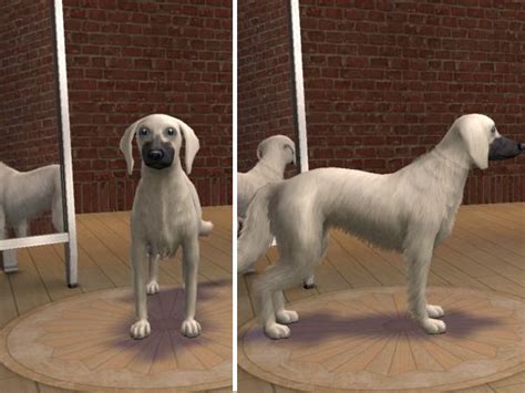 Mod The Sims Swirly Hound Dogs