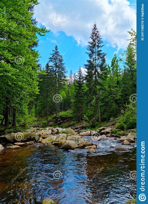 A Picturesque Mountain River Flows Over Rocks In A Green Forest Stock