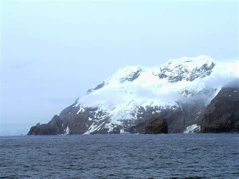 Antartide Cruise Visiting Elephant Island Sulla Zodiacs