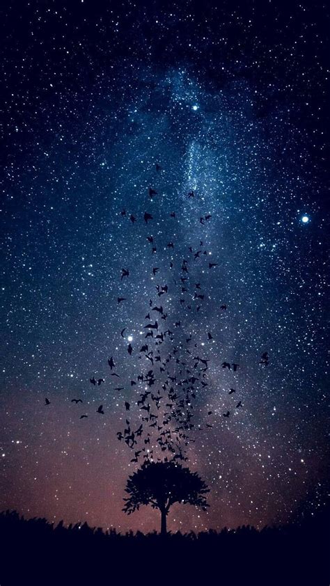 Night Sky Stars Starry Star Space Navy Milky Purple Hd Phone Wallpaper Peakpx