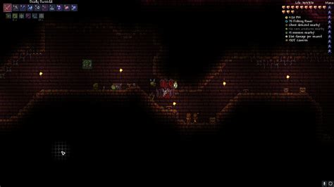 Rterraria On Twitter Anyone Know Why I Cant See Wires In The
