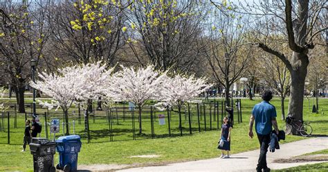 The move to step 2 is currently planned for july 2, but ford is speaking with chief medical officer of health dr. Doug Ford says Ontario getting close to reopening parks ...