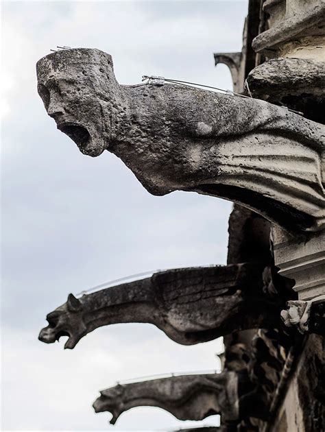 Gargoyles Of Notre Dame · Paris · Gargoyles Notre Dame Gargoyles