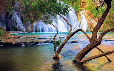 Impressive Waterfall Cascades Tree Water Tropical Hd Wallpaper
