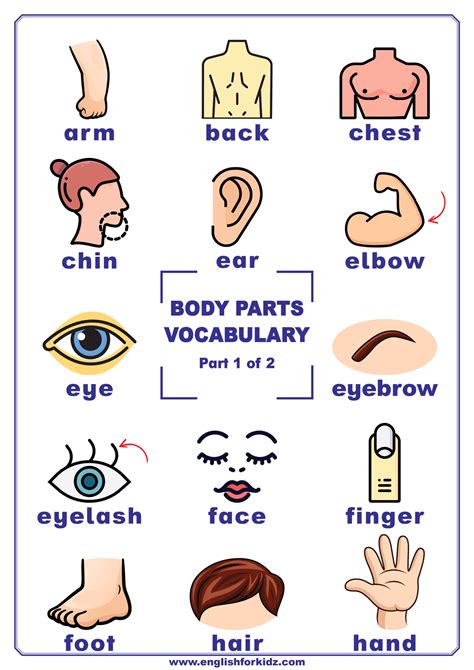 English For Kids Step By Step Vocabulary Posters For 20 Topics