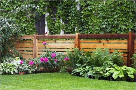 List Of Natural Privacy Fence With New Ideas Home Decorating Ideas