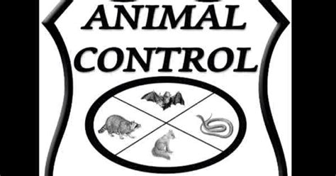 Animal Control Specialists Llc New Franklin Ohio Aboutme