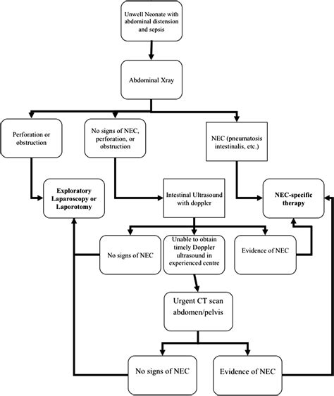 Neonatal Acute Appendicitis A Proposed Algorithm For Timely Diagnosis