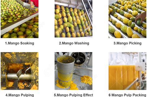 Industrial Mango Fruit Pulp Processing Machinery Plant