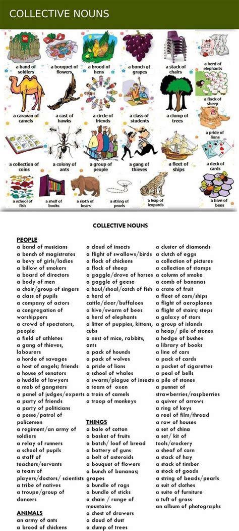 Collective Nouns For Animals Examples