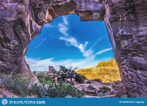 Pine Tree Arch Devils Garden Arches National Park Moab Utah Stock Image