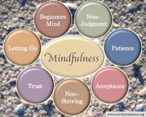 Seven Pillars Of Mindfulness Mindfulness Jon Kabat Zinn Mindfulness