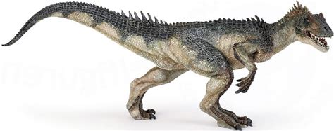 The ratio of the carbon 14 and its stable daughter (nitrogen 14) defines its age. Carbon Dating Methods And Fossils - againdedal