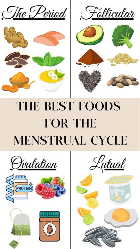The Best Foods To Eat For Each Stage Of The Menstrual Cycle Artofit