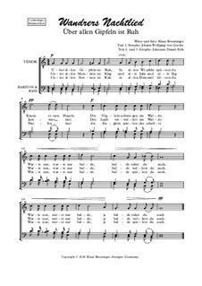 Letzteres ließ goethe erstmals 1815 in band i seiner werke drucken. Wandrers Nachtlied by K. Breuninger - sheet music on MusicaNeo