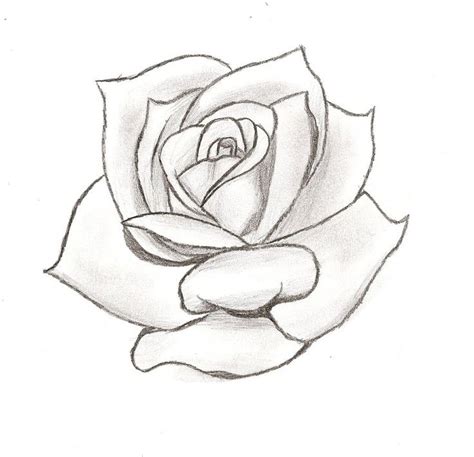 Apply liberal amount of eucalyptus oil to skin. Free Tattoo Stencil Designs, Download Free Tattoo Stencil ...