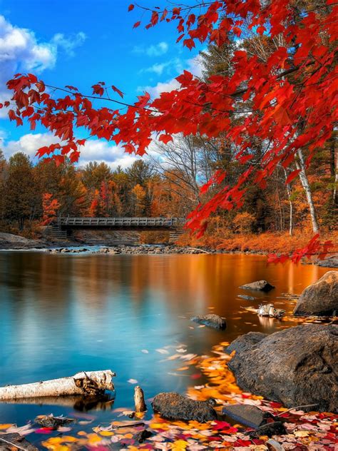 Free Download 25 Awesome Fall Wallpapers For Your Desktop 2559x1439