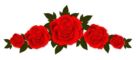 Gambar Bunga Mawar Png Materi Belajar Online