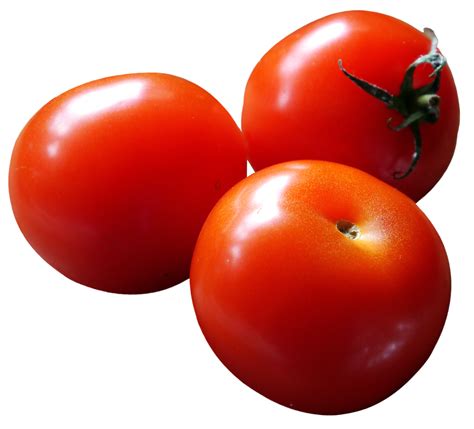 Close Up Of Fresh Tomatoes Png Image Purepng Free Transparent Cc0
