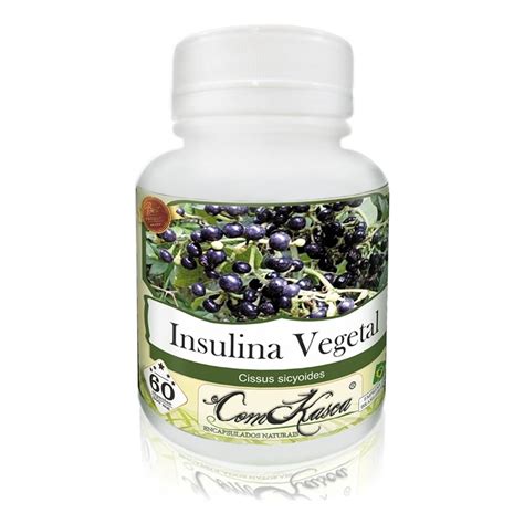 Insulina Vegetal Com 60 CÁpsulas De 500mg Mercadão Natural
