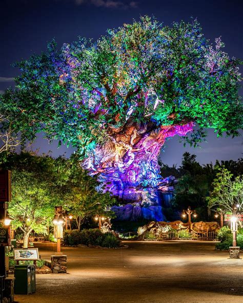 Finally closed out Animal Kingdom on my last trip and grabbed this shot