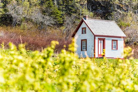 Timing, logistics, finances, and a bit of luck all come into play. Everything You Need To Know About Buying Land For A Tiny House