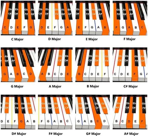 Picture Of How To Play Major Chords Piano Chords Beginner Piano