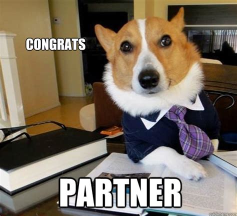 Congrats Partner Lawyer Dog Quickmeme