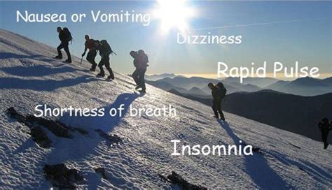 Hypoxia And Hypoxemia Symptoms Causes And Treatments Page 8 New