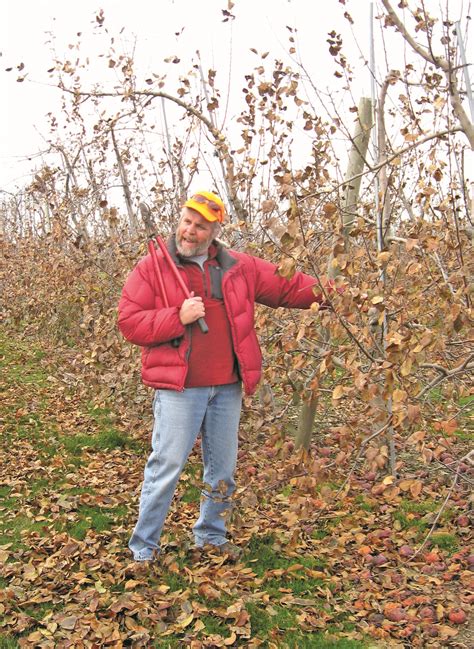 Pruning is the measured removal of parts (such as branches, stems, and flowers) from plants. Apple and peach tree pruning - Country Folks Grower