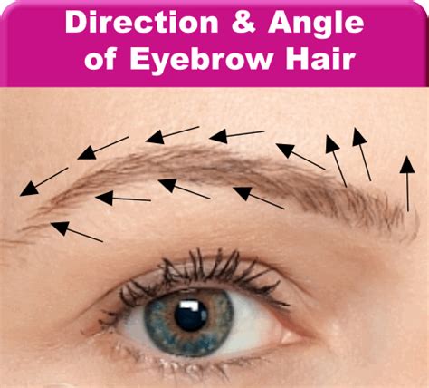 Infections, chronic skin disorders, hormone disturbances, autoimmune diseases and medications are among the many medical reasons for eyebrow loss. Eyebrow Hair Restoration with Dr. Shelly Friedman