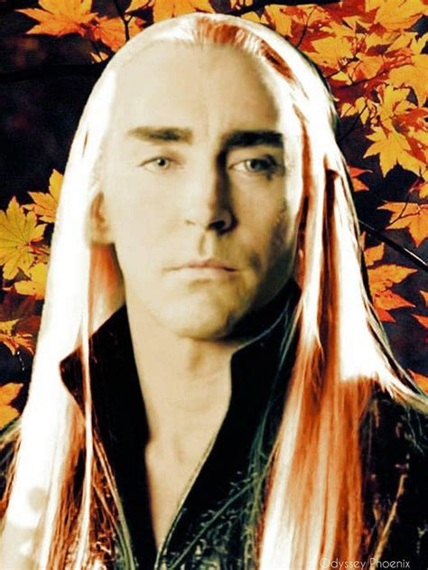 I've long thought that i'd like to be a hobbit. Pin by TheOddPhoenix on King Thranduil and Prince Legolas ...