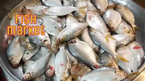 ছোট বড় তাজা মাছের বাজার২৪ মাছের দাম জানুন।fish Market Youtube