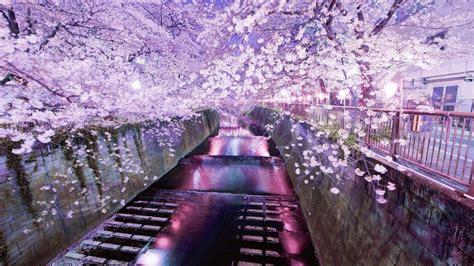 Japanese Aesthetic Hd Wallpapers Top Free Japanese Aesthetic Hd