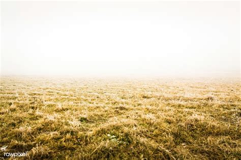 Dried Yellow Grassland Free Image By Markus Spiske