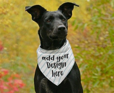 Download JPG + PSD pet bandana mockup, flat template mockup,Dog Dye sublimation Mock-up,PSD file + smart ...