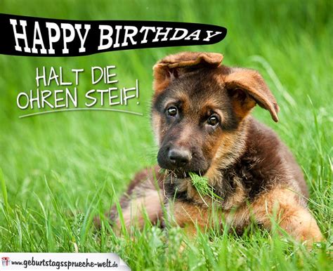 Die besten glückwünsche zum geburtstag mit gratisgrußkarte und zusätzlichem geschenk jetzt bei fleurop bestellen auf wunsch am gleichen tag geliefert! Happy Birthday - Halt die Ohren steif! - Sprüche zum ...
